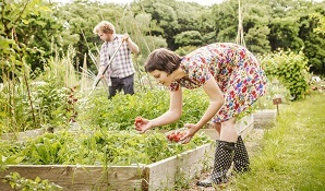 couple planting