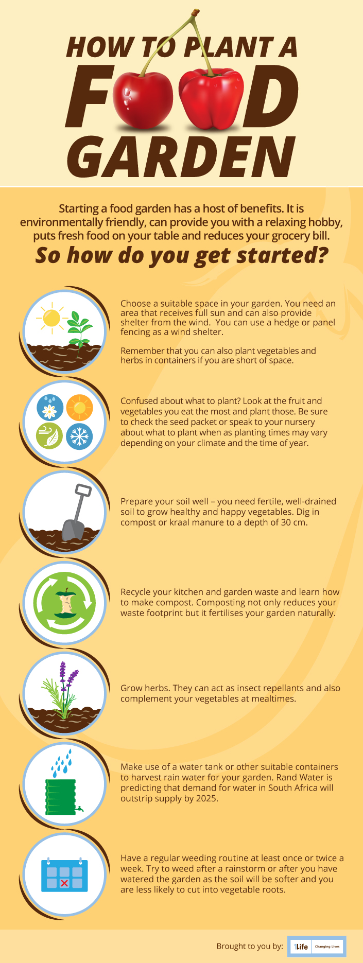 Plant a food garden infographic 