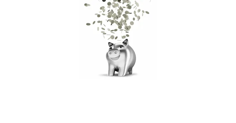 12 expenses budget