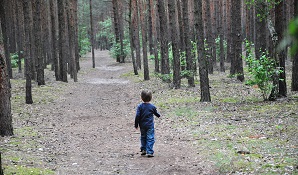 little boy in woods alone