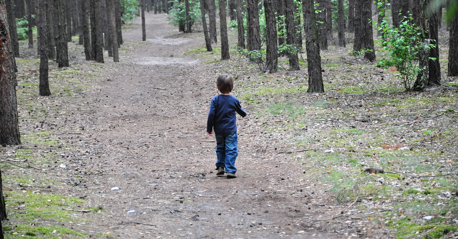little boy in woods alone