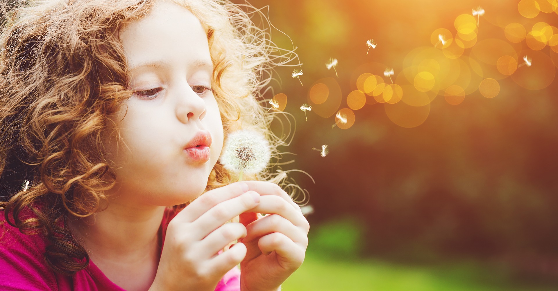 Little girl blowing on dandelion flower