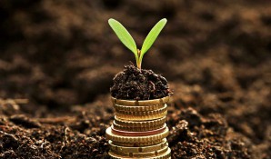 coins and plant in soil