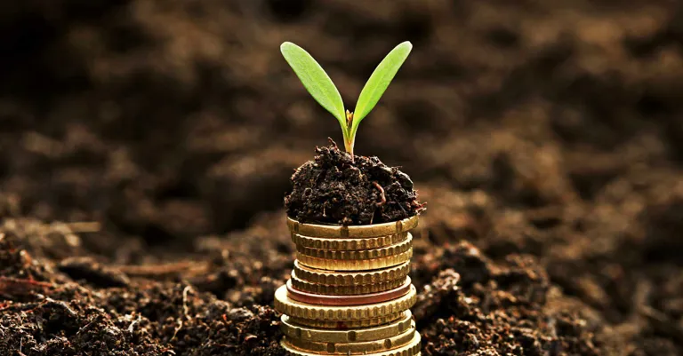 coins and plant in soil