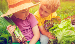 family veggie patch