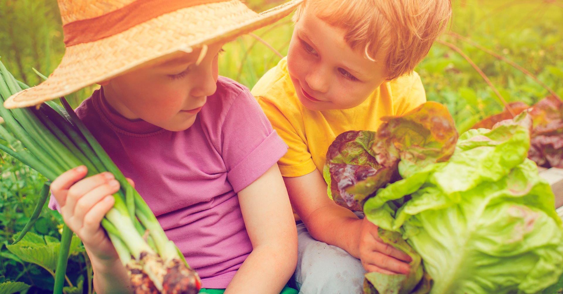 family veggie patch