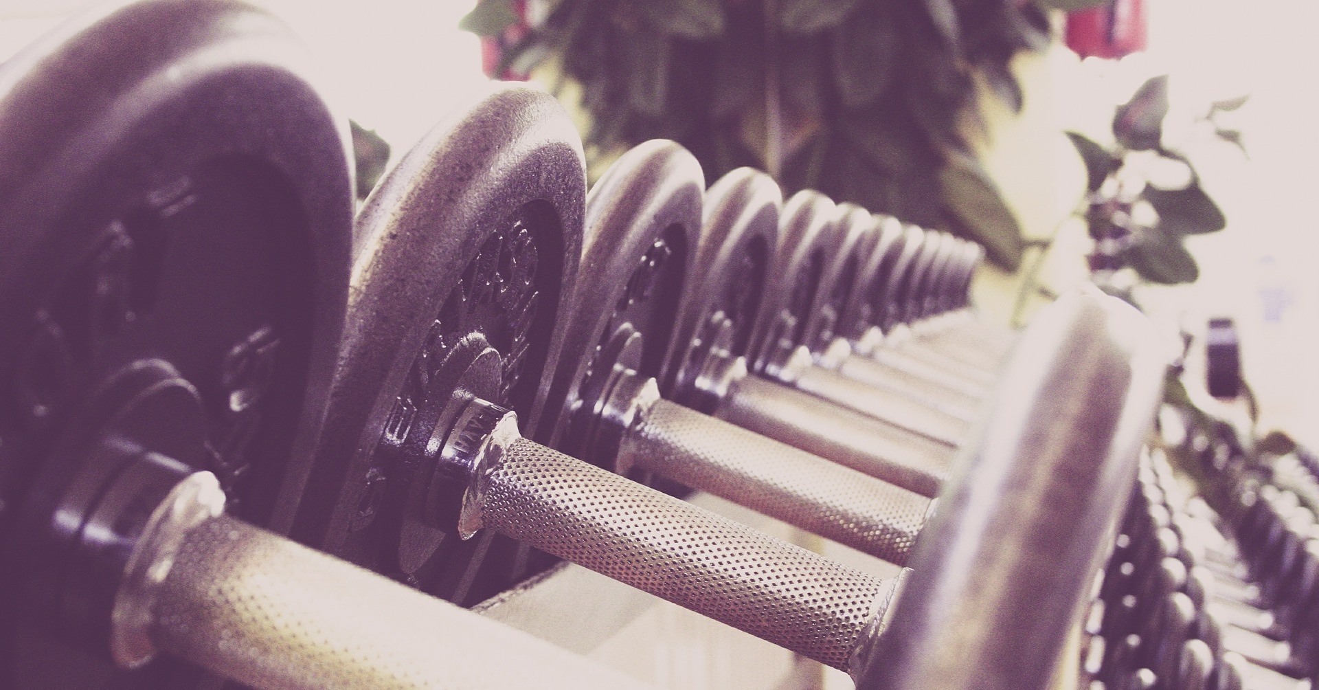 dumbbells in a row