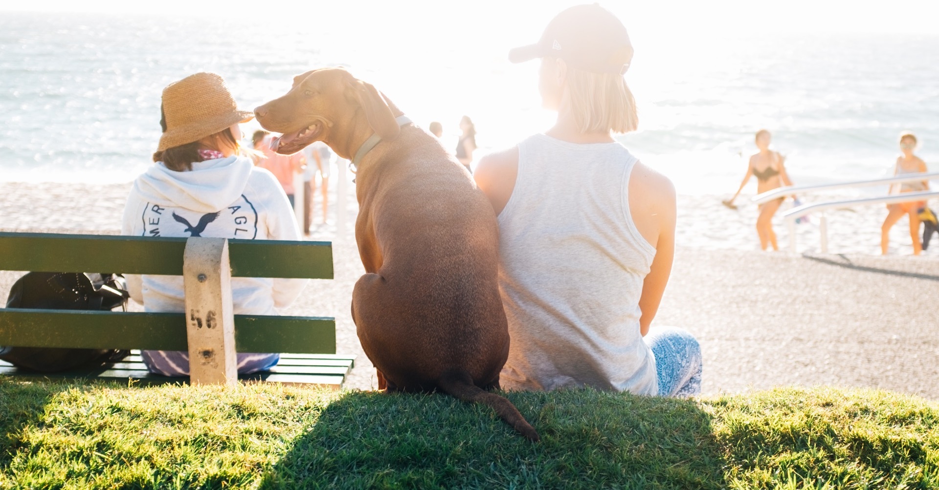 man sitting on beach with his dog